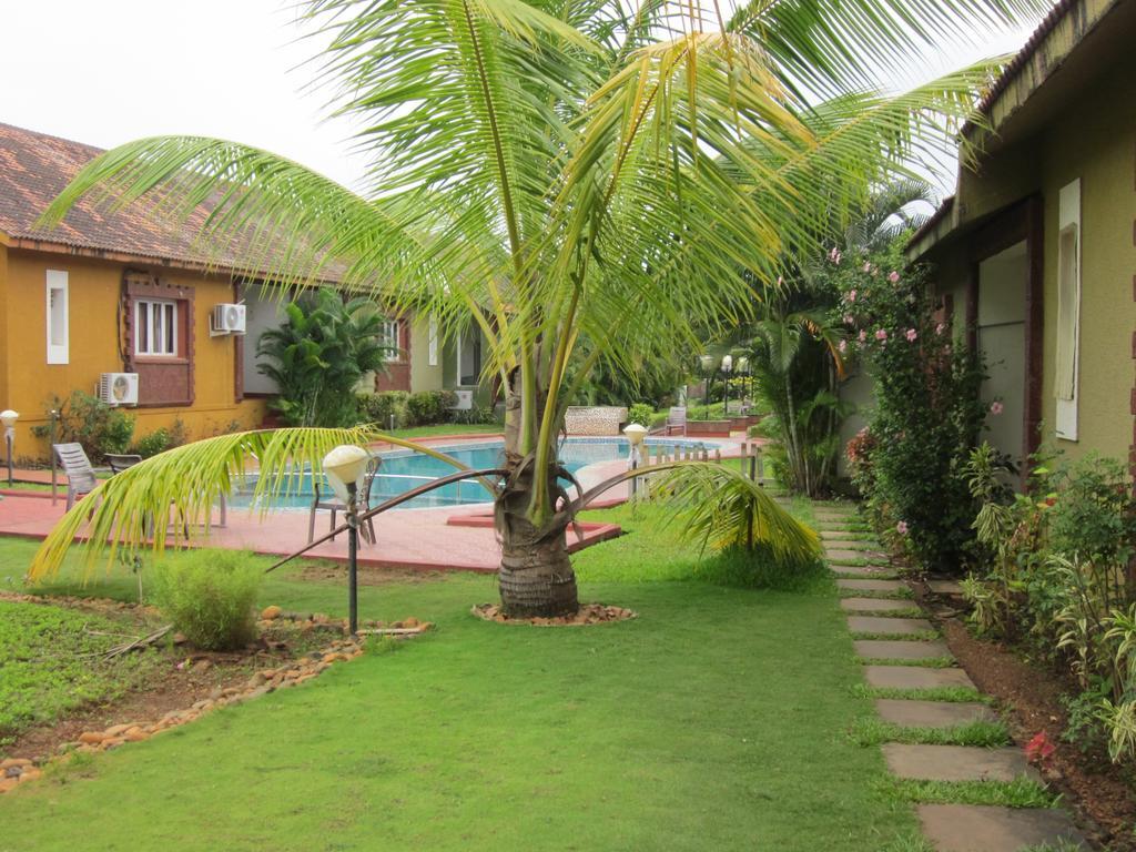 Services 8 And 9 * Anjuna